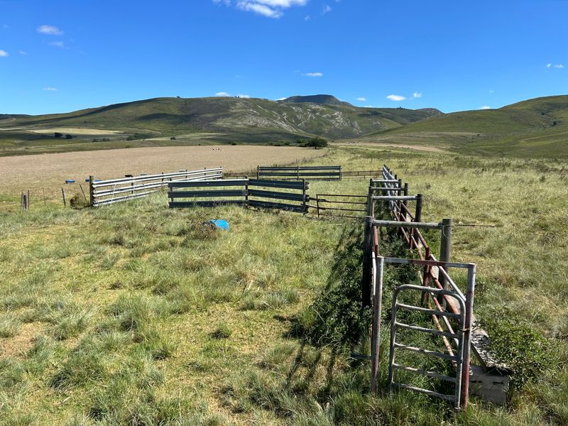 Farm For Sale in Herbertsdale - Photo 10