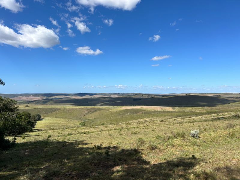 Farm For Sale in Herbertsdale - Photo 9