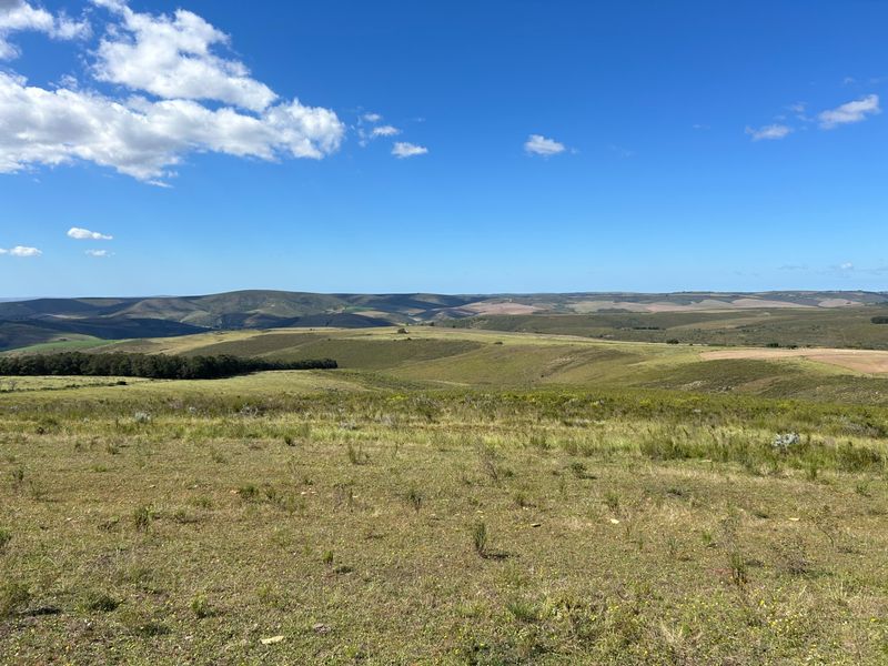 Farm For Sale in Herbertsdale - Photo 7