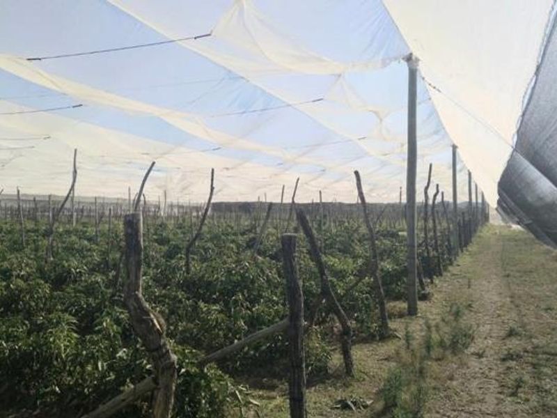 Farm For Sale in Groblersdal Rural - Photo 2