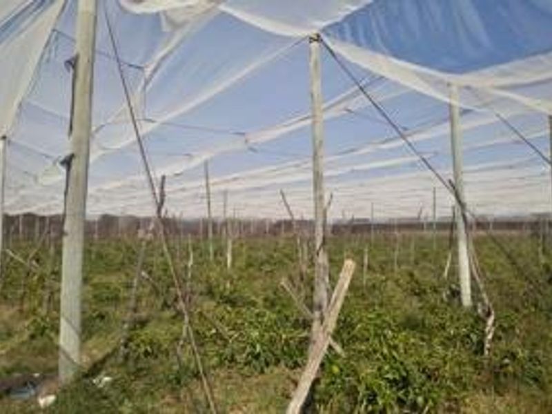 Farm For Sale in Groblersdal Rural - Photo 3