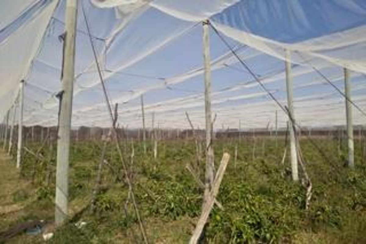 Farm For Sale in Groblersdal Rural - Photo 3