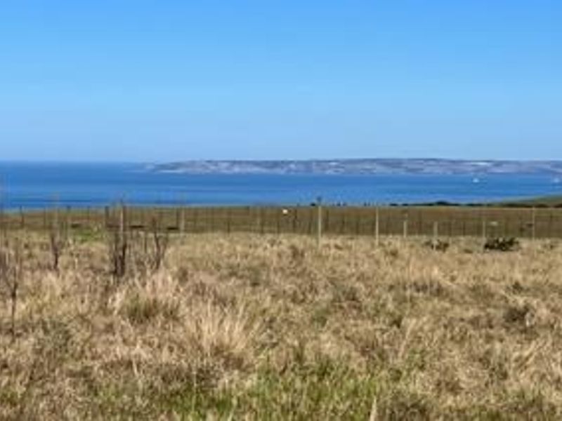 Farm For Sale in George Rural - Photo 5