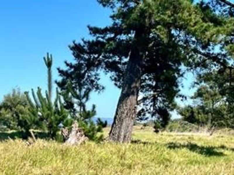 Farm For Sale in George Rural - Photo 4