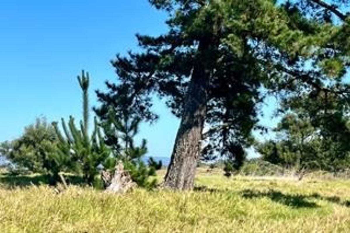 Farm For Sale in George Rural - Photo 4