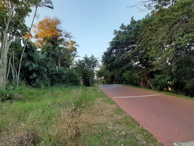 Vacant Land Residential For Sale in Elaleni Coastal Forest Estate - Photo 8