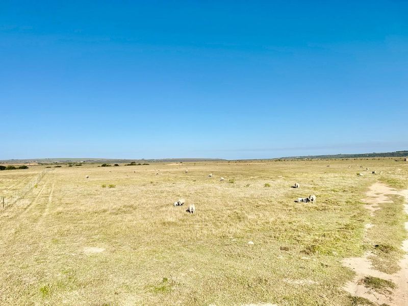 Farm For Sale in Mossel Bay Rural - Photo 7