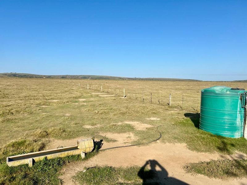 Farm For Sale in Mossel Bay Rural - Photo 5