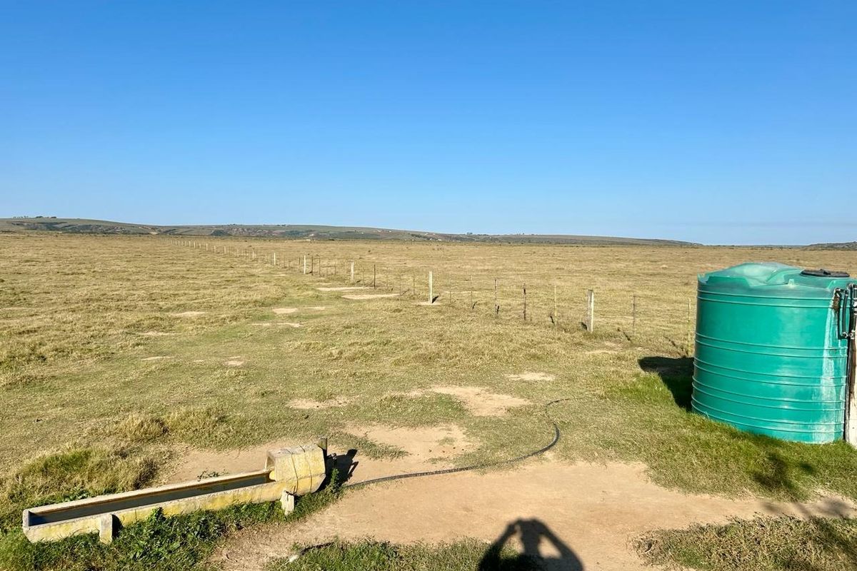 Farm For Sale in Mossel Bay Rural - Photo 5
