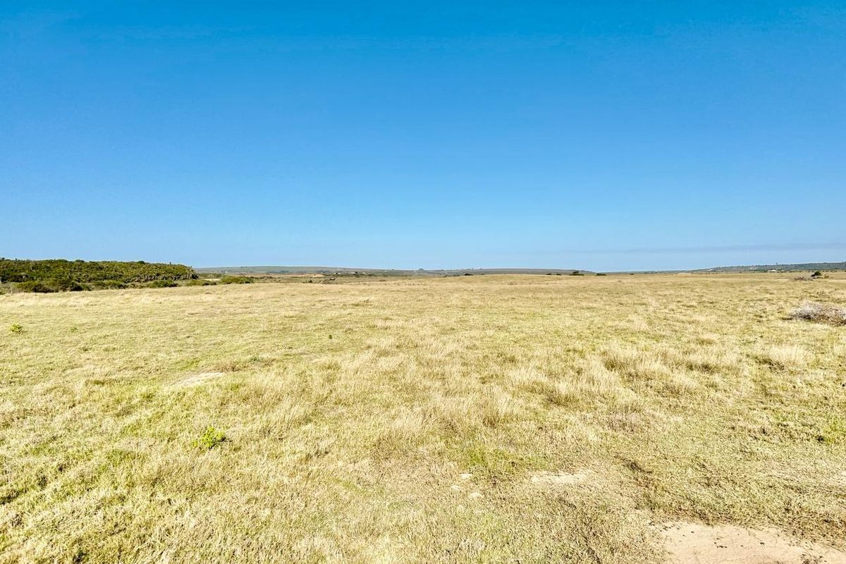 Farm For Sale in Mossel Bay Rural - Photo 4