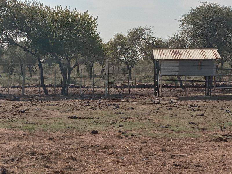 Farm For Sale in Marble Hall Central - Photo 8