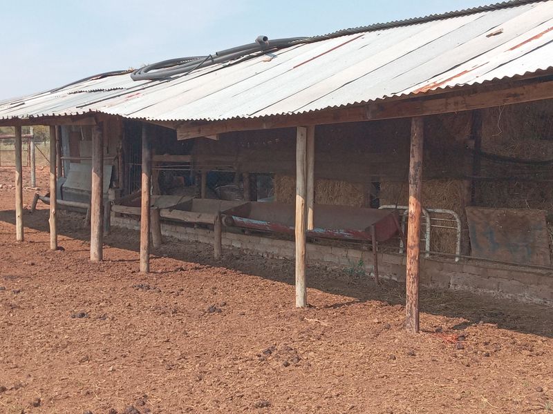 Farm For Sale in Marble Hall Central - Photo 9