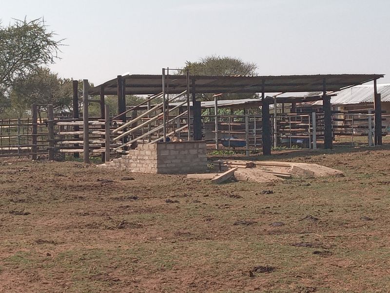 Farm For Sale in Marble Hall Central - Photo 7