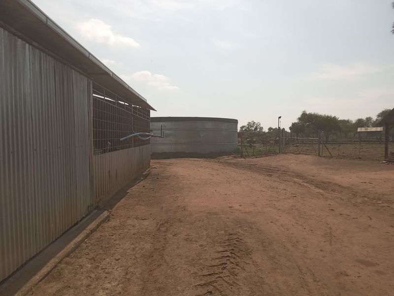 Farm For Sale in Marble Hall Central - Photo 5