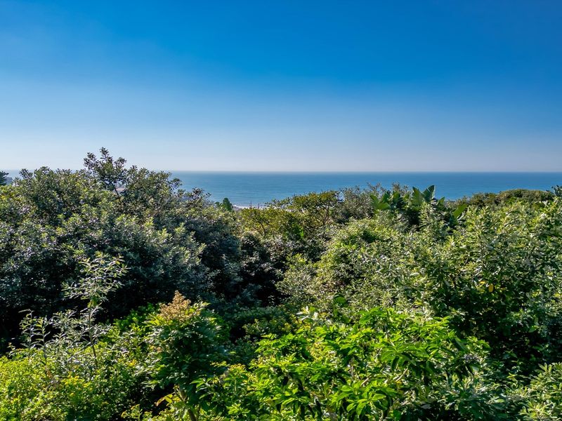 Vacant Land Residential For Sale in Sheffield Beach - Photo 5