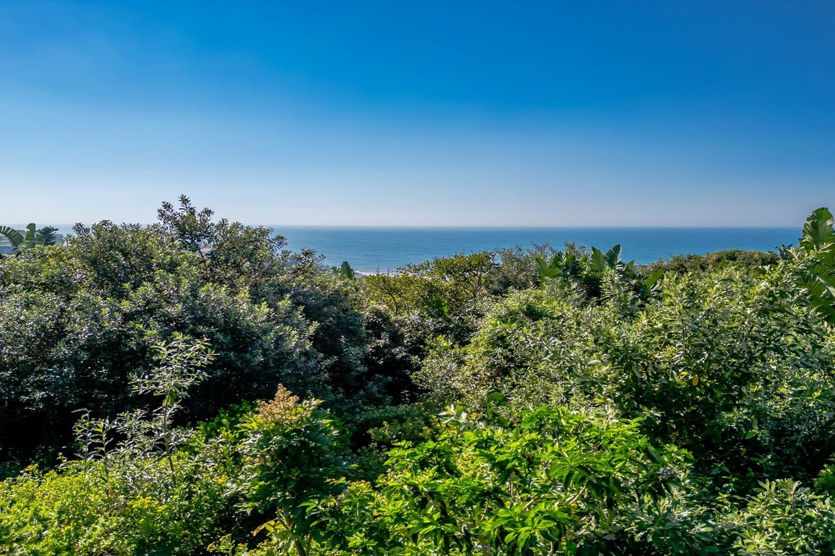 Vacant Land Residential For Sale in Sheffield Beach - Photo 5