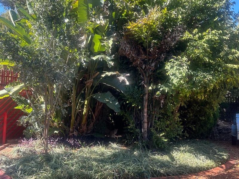 House For Sale in Flora Park - Photo 4