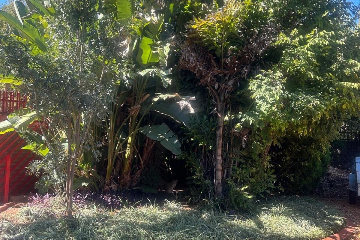 House For Sale in Flora Park - Photo 4