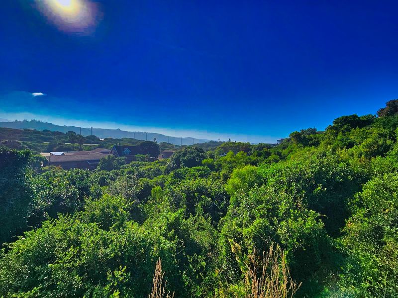 Vacant Land Residential For Sale in Wilderness Central - Photo 7