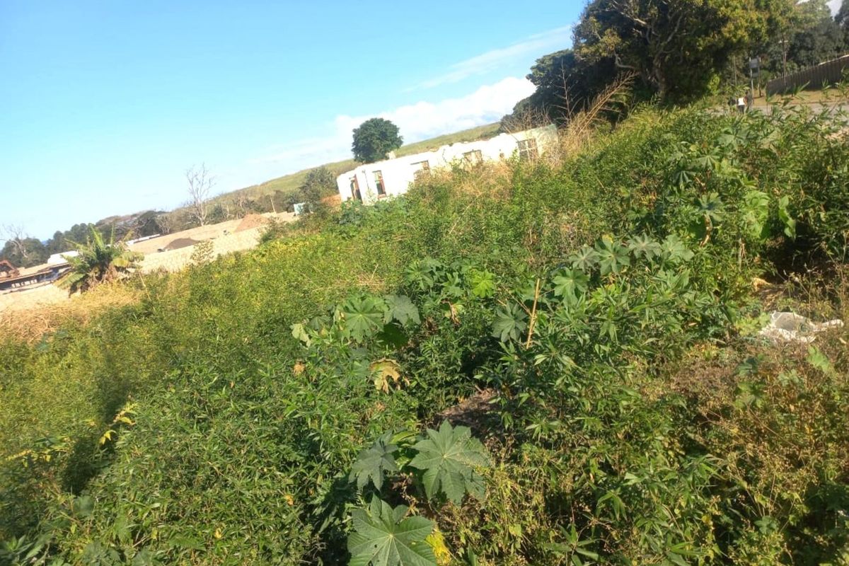 Vacant Land Residential For Sale in Park Rynie - Photo 2