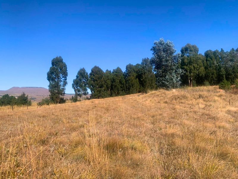 Vacant Land Residential For Sale in Underberg Central - Photo 8