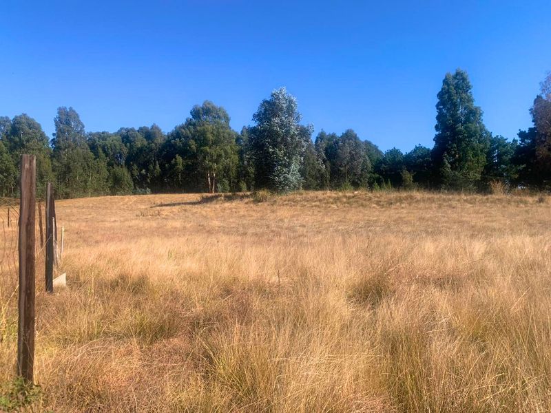 Vacant Land Residential For Sale in Underberg Central - Photo 7