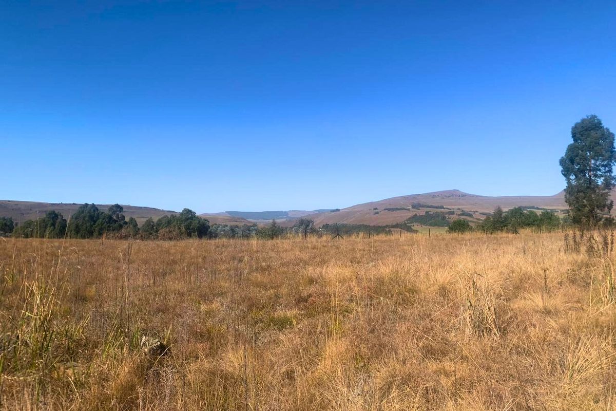 Vacant Land Residential For Sale in Underberg Central - Photo 5