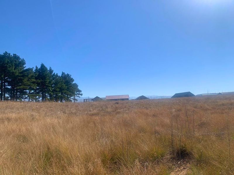 Vacant Land Residential For Sale in Underberg Central - Photo 10