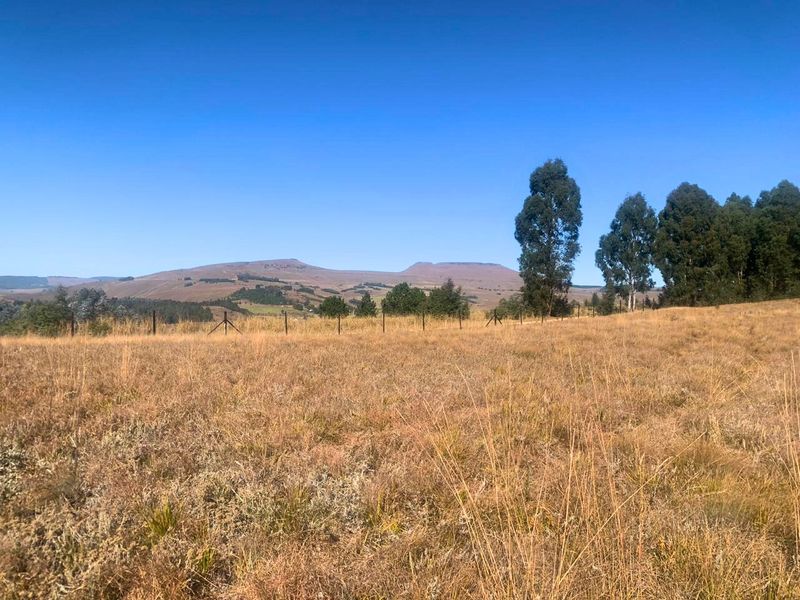 Vacant Land Residential For Sale in Underberg Central - Photo 9