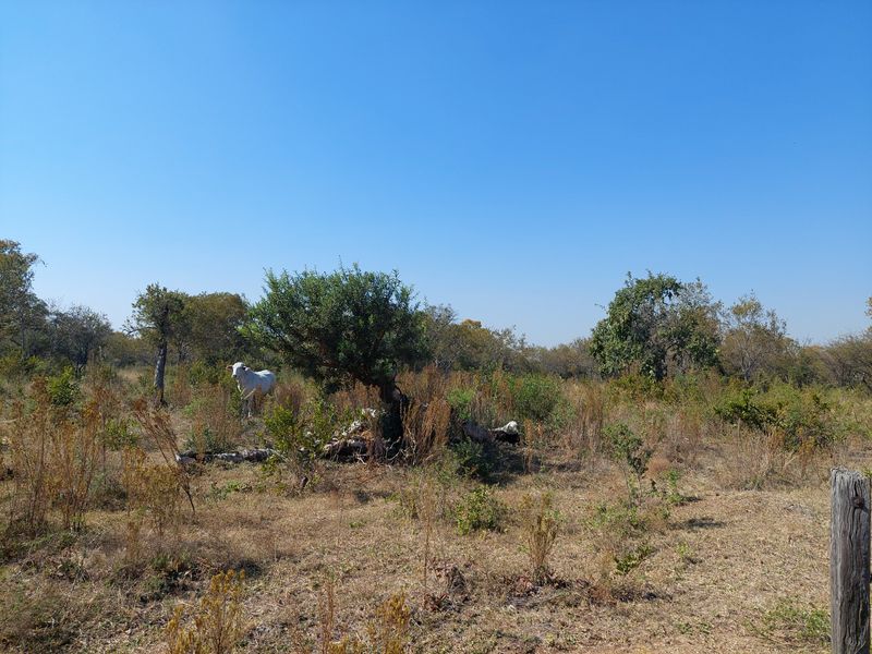 Farm For Sale in Lusthof - Photo 8