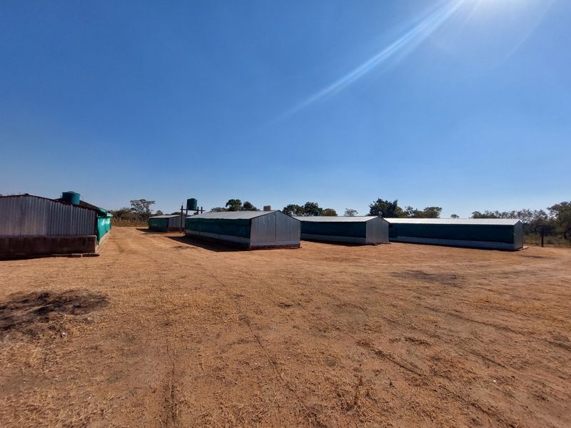 Farm For Sale in Lusthof - Photo 6