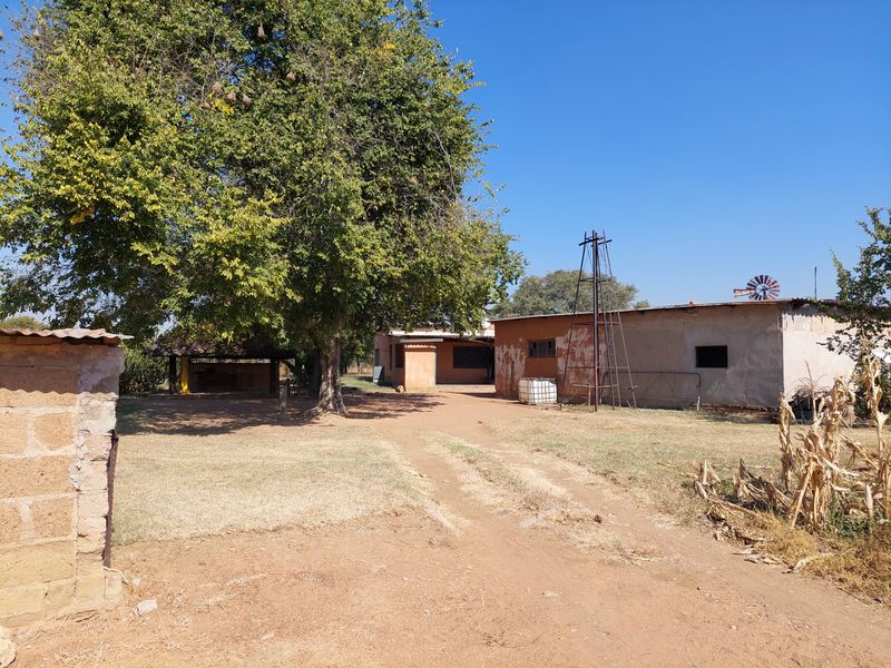 Farm For Sale in Lusthof - Photo 5
