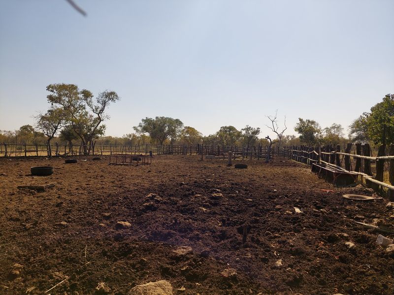 Farm For Sale in Lusthof - Photo 10