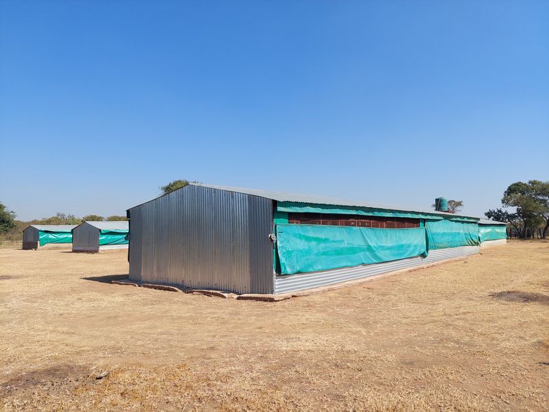 Farm For Sale in Lusthof - Photo 7