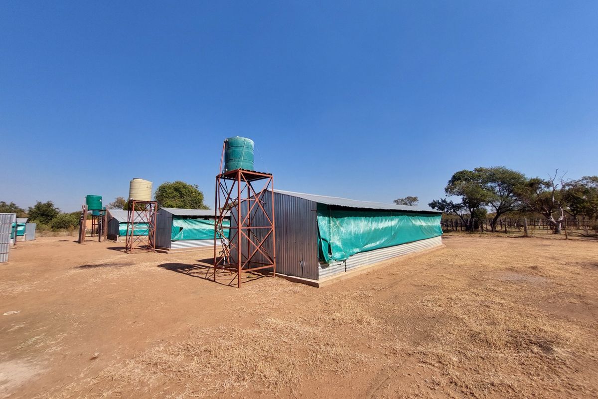 Farm For Sale in Lusthof - Photo 4