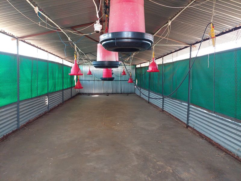 Farm For Sale in Lusthof - Photo 3