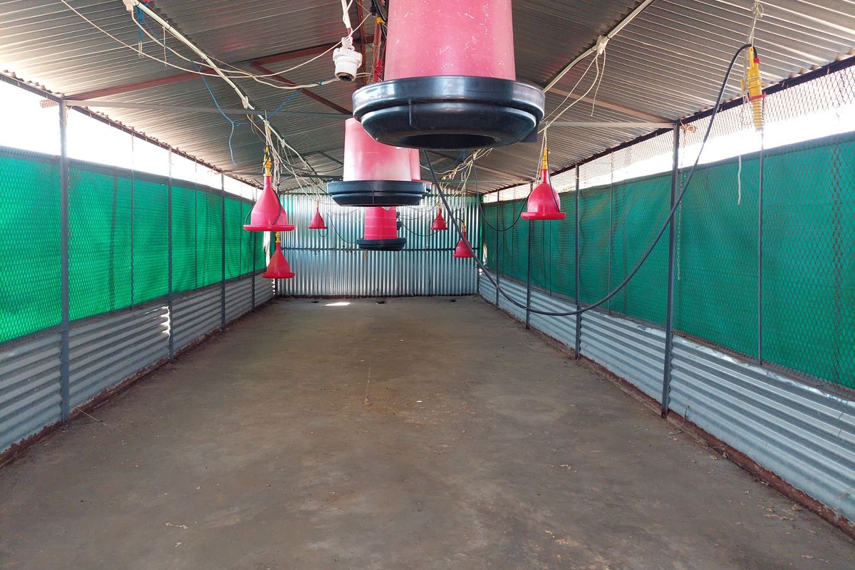 Farm For Sale in Lusthof - Photo 3