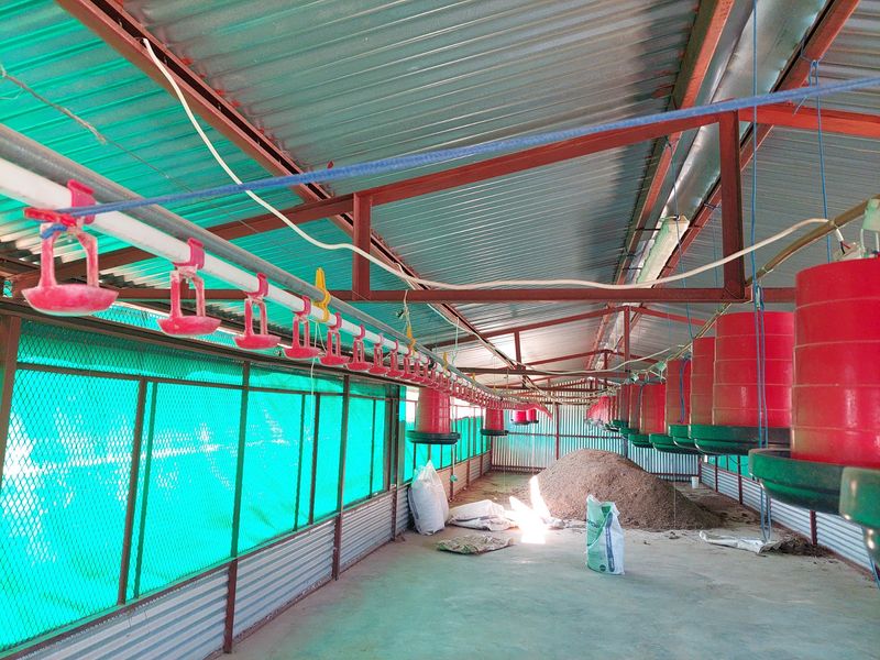 Farm For Sale in Lusthof - Photo 2