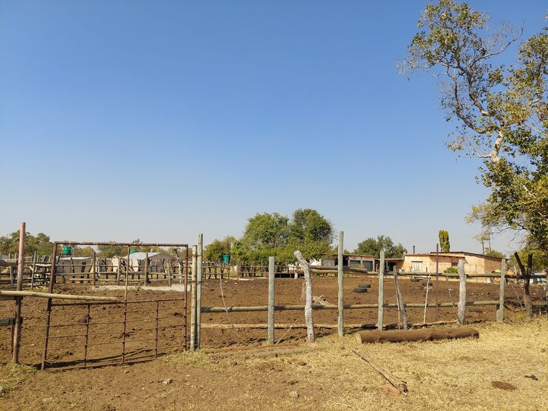 Farm For Sale in Lusthof - Photo 9