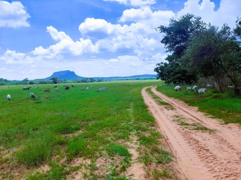 Farm For Sale in Modimolle Rural - Photo 9