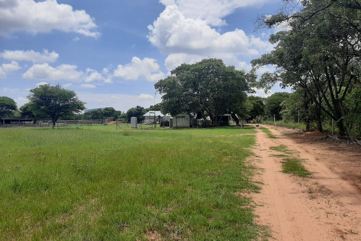 A view of the farm property featuring a dirt access road, open grazing land, and mature trees leading toward the main farm buildings.