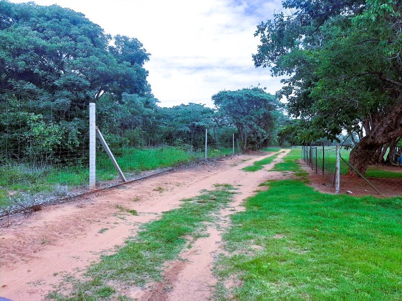 Farm For Sale in Modimolle Rural - Photo 10
