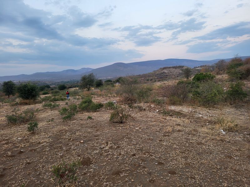 Farm For Sale in Mooihoek - Photo 3