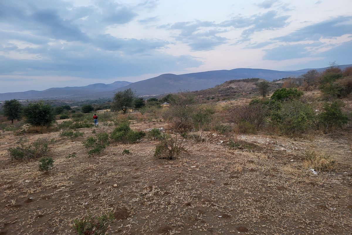 Farm For Sale in Mooihoek - Photo 3