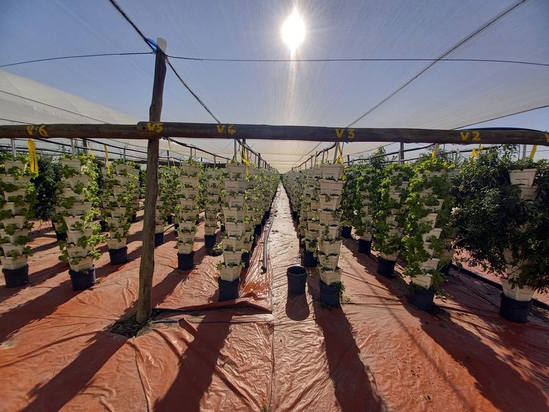 Farm For Sale in Ballito Rural - Photo 10