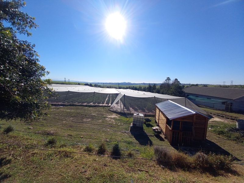 Farm For Sale in Ballito Rural - Photo 6