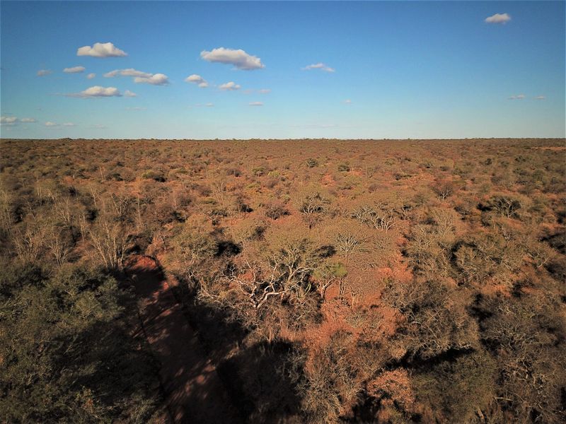 Farm For Sale in Vivo Central - Photo 8