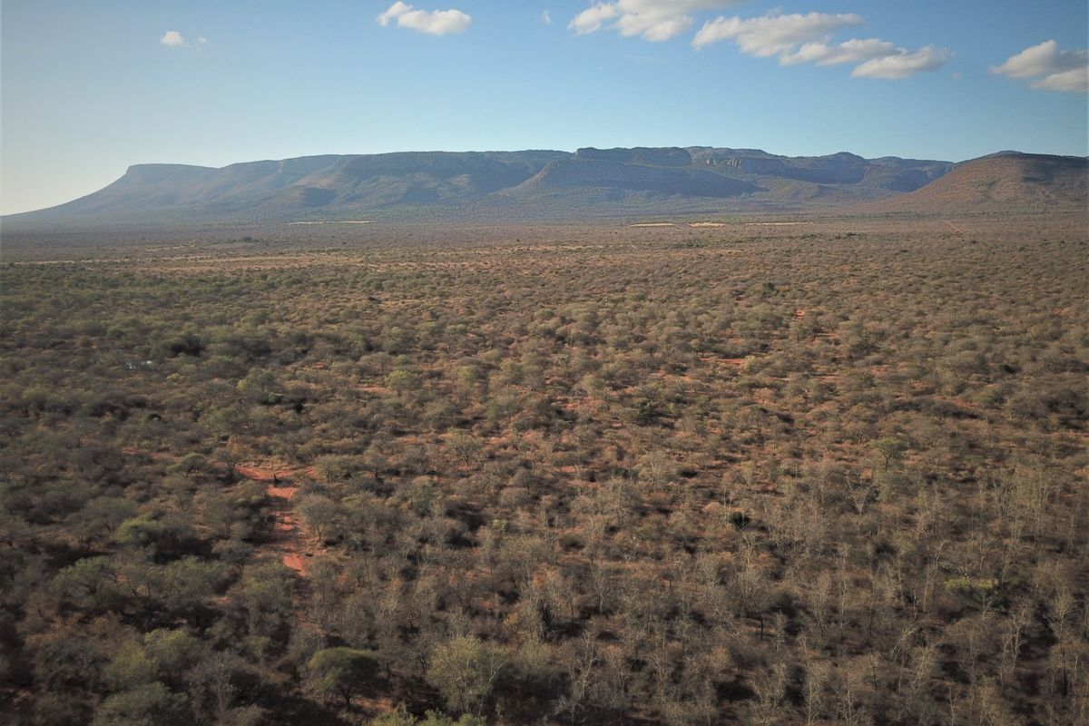 Farm For Sale in Vivo Central - Photo 5