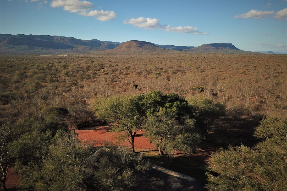 Farm For Sale in Vivo Central - Photo 3