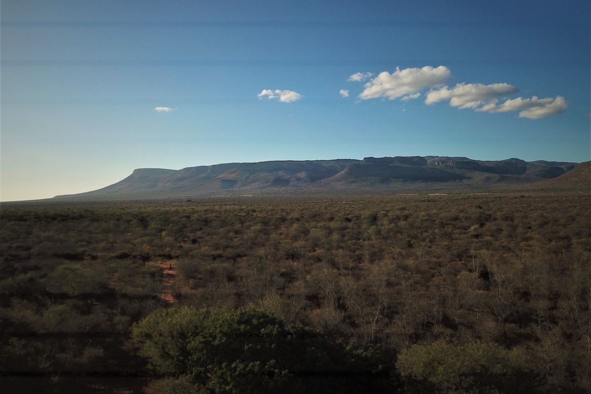 Farm For Sale in Vivo Central - Photo 4